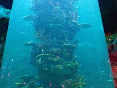 -青岛嘉年华主题乐园