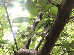 -常州古运河南大街文化旅游区-人民公园