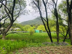 -西湖风景区-江洋畈生态公园
