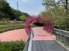 -佛山华盖山公园