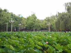 -四川大学(望江校区)