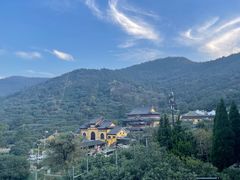 -树山生态村