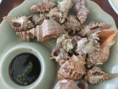 -魚當家