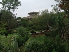 iphone_upload_pic-和茶馆(西溪栖悦城店)