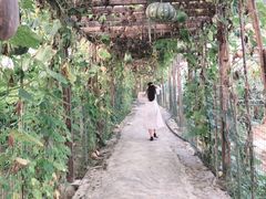 -阿依河景区