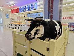 -红星前进面包牛奶公司(君太店)