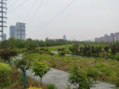 -金银湖国家城市湿地公园