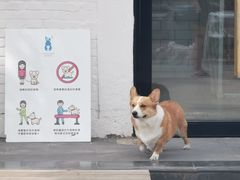 -小意思咖啡店(草桥店)