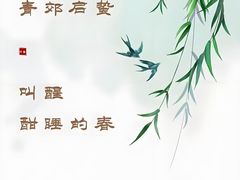 -华祥苑茶馆•国缤茶小蓝罐(普罗旺斯店)