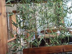 -功夫小龙虾·烧烤·江湖菜(金沙洲店)