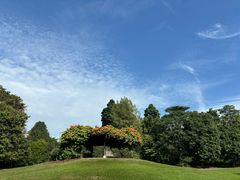 -新加坡植物园