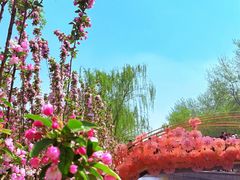 -元大都城垣遗址公园