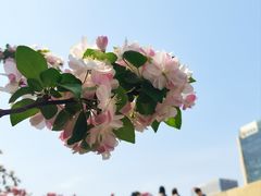 -元大都城垣遗址公园