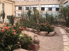 -石家庄市植物园