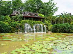 -中国科学院西双版纳热带植物园