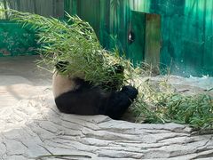 -杭州野生动物世界