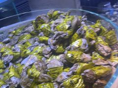 -聚盛源蒸汽海鲜火锅烤肉自助(巨川金海岸购物广场店)