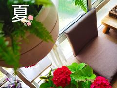 -双季花艺园艺市场(浦东店)