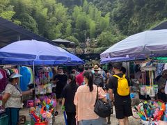 -将军关探险漂流