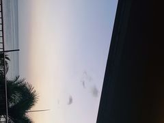 -日落吧·海景咖啡厅·餐酒吧·鸡尾酒·下午茶·乐队表演·浪漫夕阳·三亚文华东方酒店