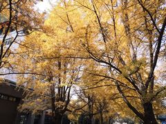 -四川大学(华西校区)