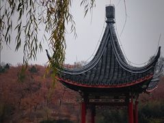 -北宫国家森林公园