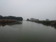 -微山湖红荷湿地景区