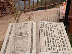 -紫鹊界梯田景区