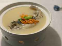 养颜白汁河豚-肆月河豚·新淮扬(金融街店)