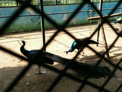 -祥源·阜阳生态乐园