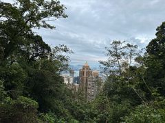 -太平山顶