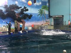 -石家庄极地海洋世界