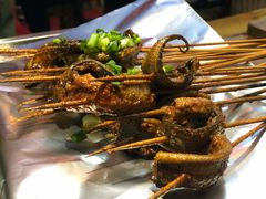 鳝鱼-晓靖轩烧烤(沙河风情店)