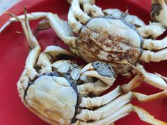 -好伦哥(温都水城店)