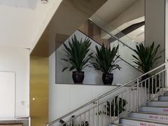-美可普口腔医院(东街分店)