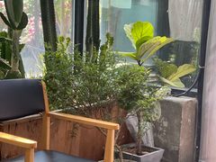 -北马山庄植趣咖啡