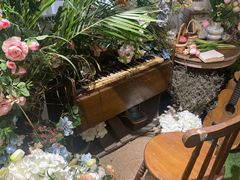 -知物癖(牛王庙店)