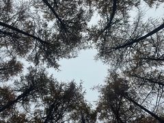 -硗碛藏寨·神木垒景区