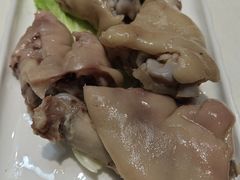 -丁老爷子苏香圆