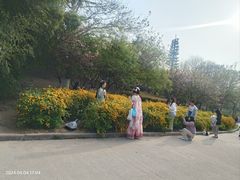 -西安青龙寺遗址景区