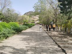 -府君山公园