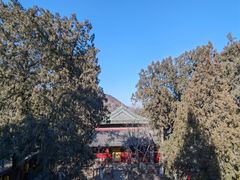 -大觉寺-停车场