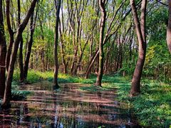 -同里国家湿地公园