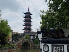 -嘉定紫藤园