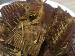 -金鹏鱼肉馆