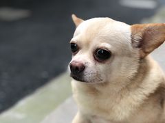 -小河无名面馆