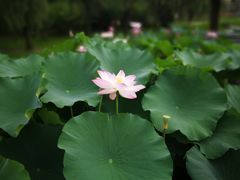 -中国计量大学(西校区)