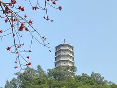 -深圳国际园林花卉博览园