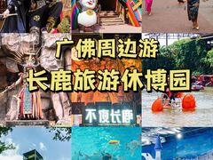-长鹿旅游休博园