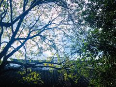 -溪口-滕头旅游景区